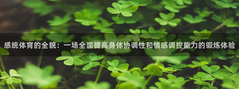 快快体育：感统体育的全貌：一场全面提高身体协调性和情感调控能力的锻炼体验