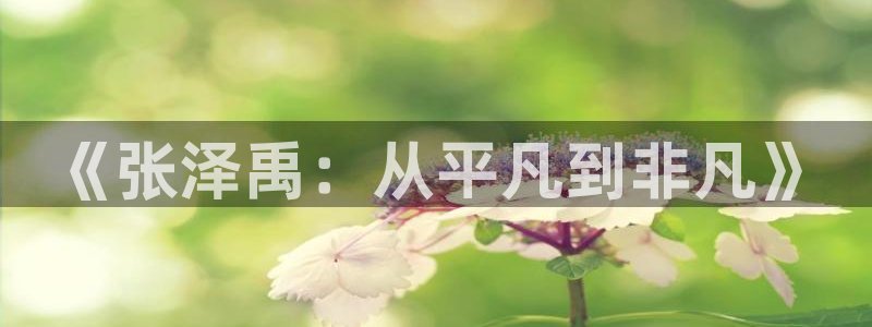 快快体育：《张泽禹：从平凡到非凡》