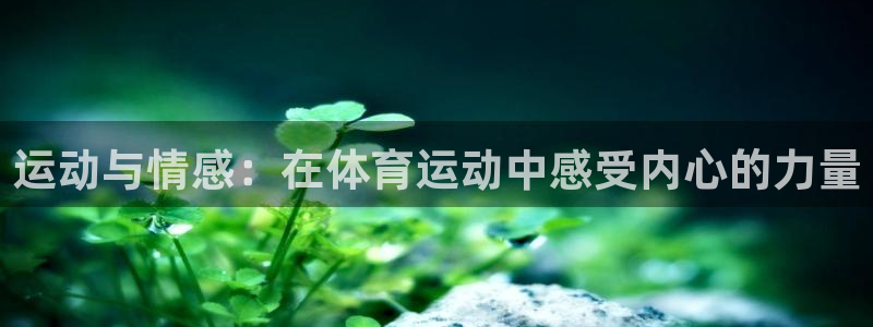 快体育官网：运动与情感：在体育运动中感受内心的力量