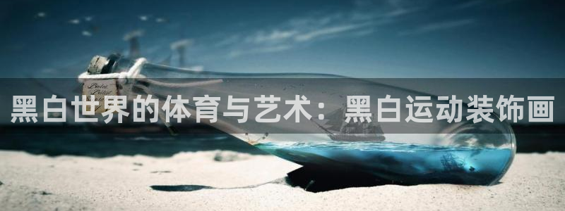 快体育NBA：黑白世界的体育与艺术：黑白运动装饰画