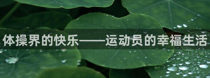 快快体育：体操界的快乐——运动员的幸福生活