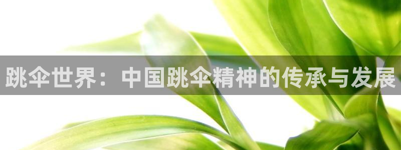 快体育五大联赛：跳伞世界：中国跳伞精神的传承与发展